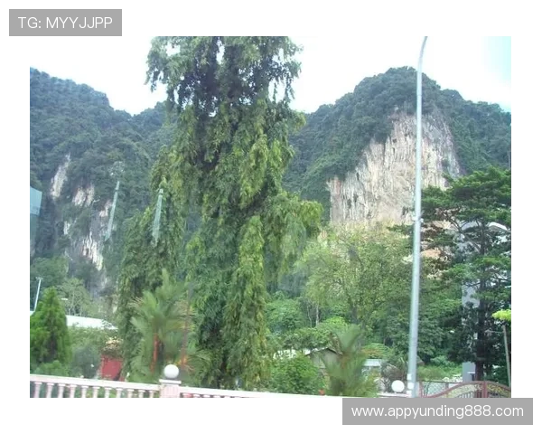 云顶山赌场在哪个位置，详细地图和交通方式全解析方便玩家查找